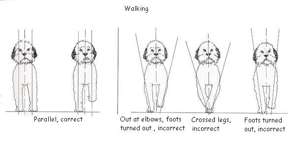 walk[1].jpg